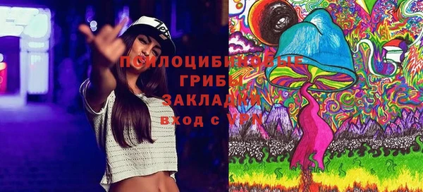 spice Беломорск