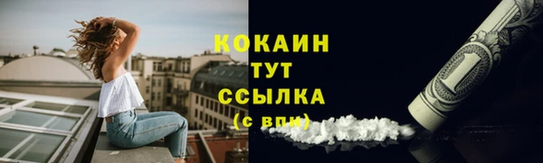 кокс Белокуриха