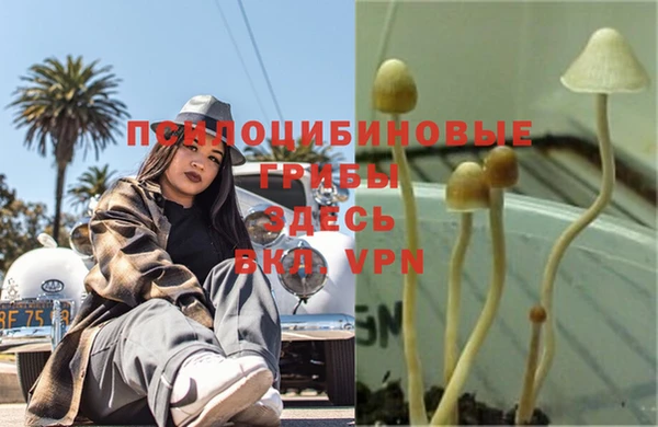 jwh Белоозёрский
