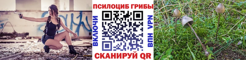 Псилоцибиновые грибы GOLDEN TEACHER Заволжск